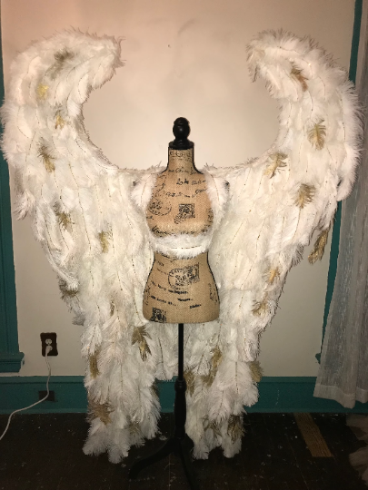 Custom Pageant Wings, Starting at $450. (contact me) :) – Skymaid Workshop
